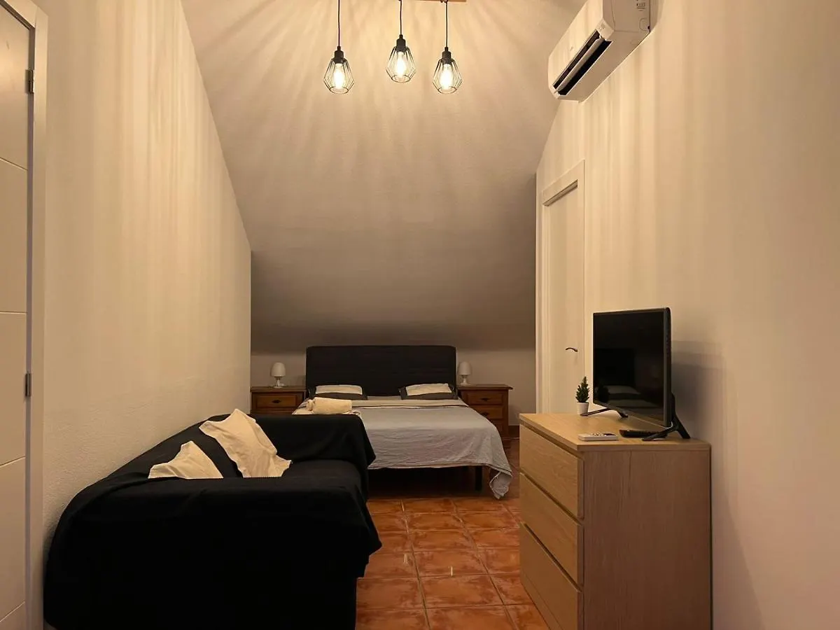 El Camison Apartment Playa de las Americas  0*, Playa de las Americas (Tenerife) Spain