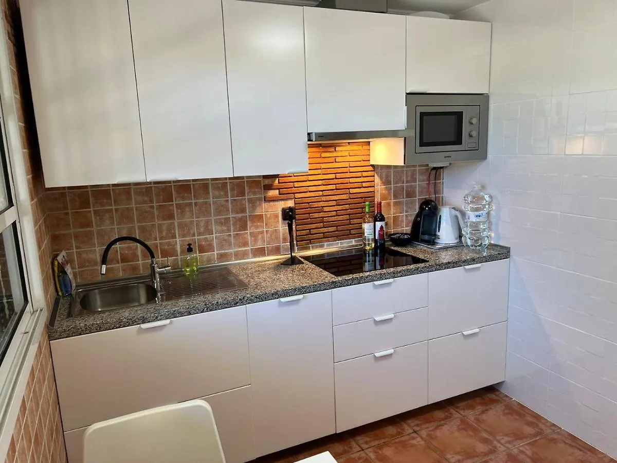 El Camison Apartment Playa de las Americas  Playa de las Americas (Tenerife)